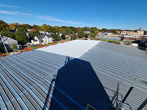 Coating on a Seamless Roof System