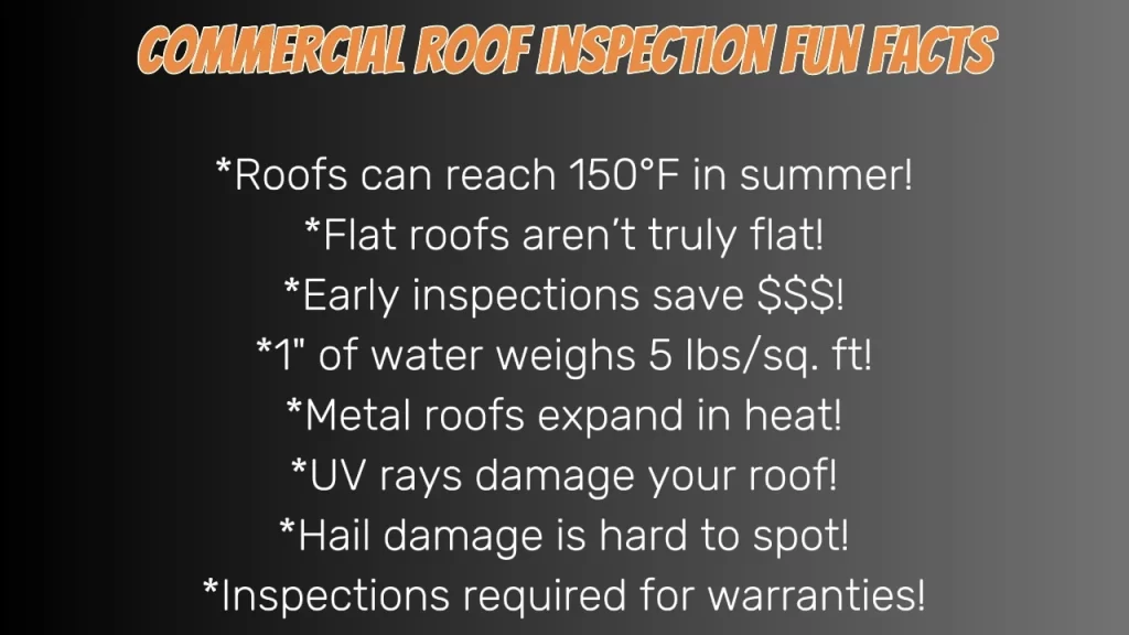 Commercial Roof Inspection Pasadena