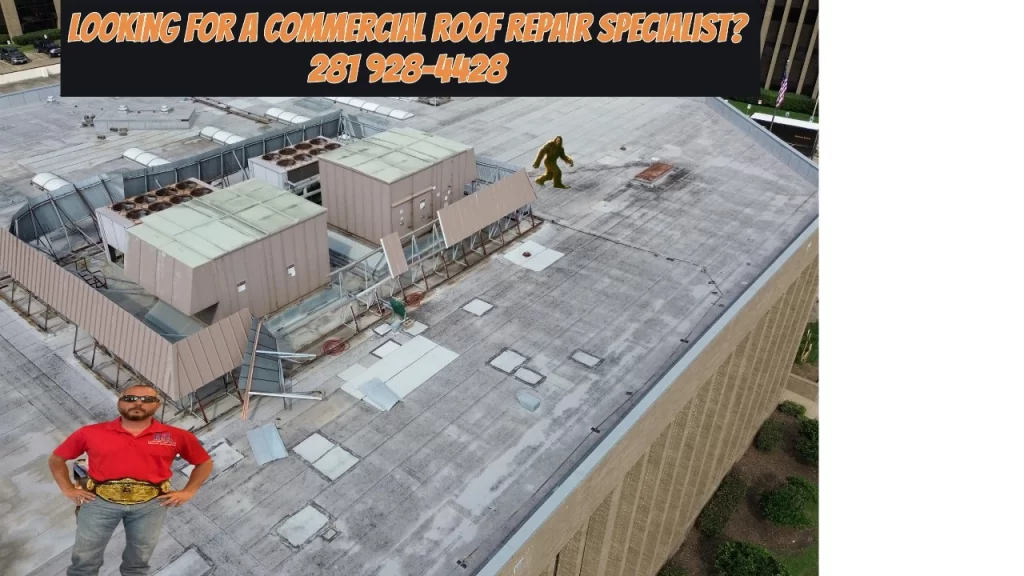 Commercial Roof Repair Specialist