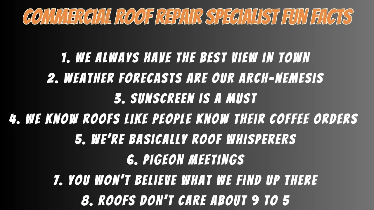 Commercial Roof Repair Specialist