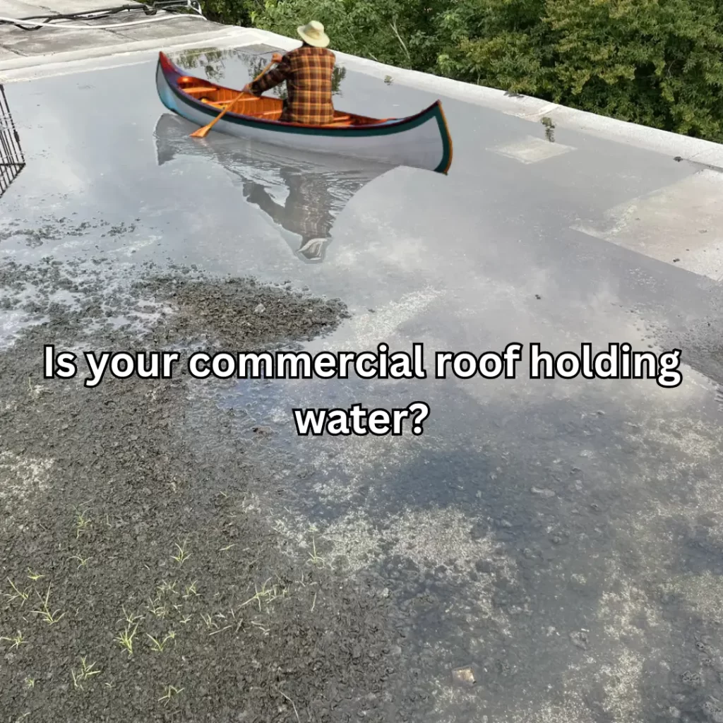 Roof drainage system