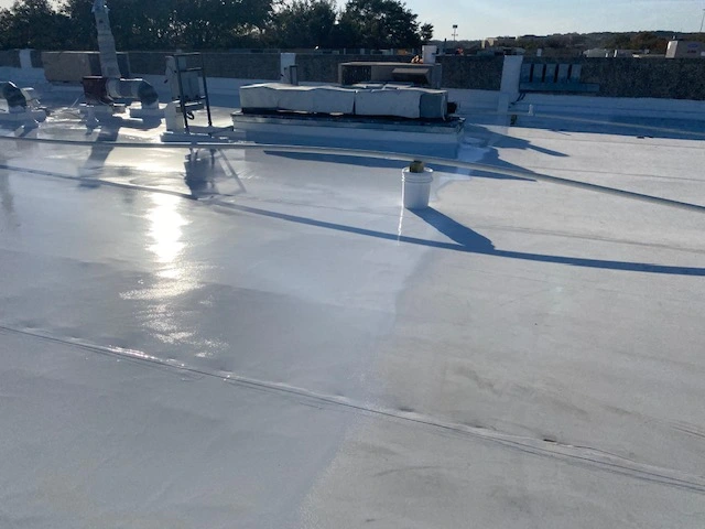 TPO Roof Restoration